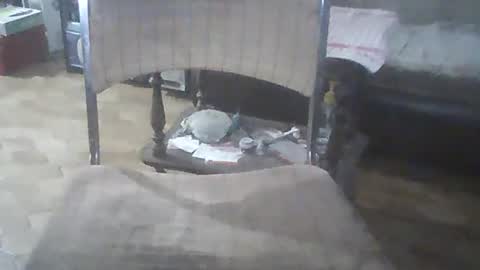 bigpenix online show from 12.21.24