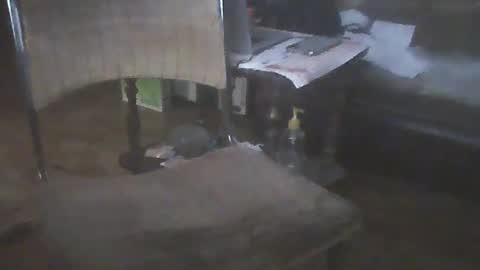 bigpenix online show from 01.15.25