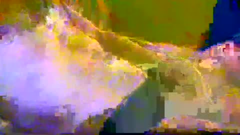 bigrig online show from 12.10.24