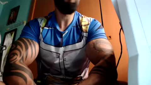 BigStallion online show from 07.27.26