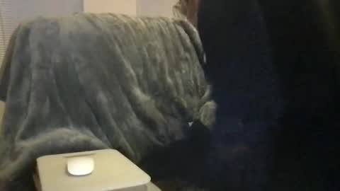 Bigwhitedickdaddy and BabyCakes online show from 02.16.26