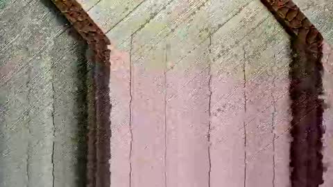 Snapshot of bigwytecock1979 chatting on 12.24.24 bigwytecock1979 online show from 12.24.24