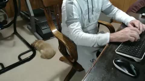 Snapshot of billy471 chatting on 01.23.25 billy471 online show from 01.23.25