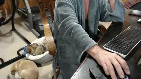 Snapshot of billy471 chatting on 11.19.25 billy471 online show from 11.19.25