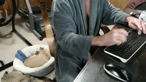 Snapshot of billy471 chatting on 11.20.25 billy471 online show from 11.20.25