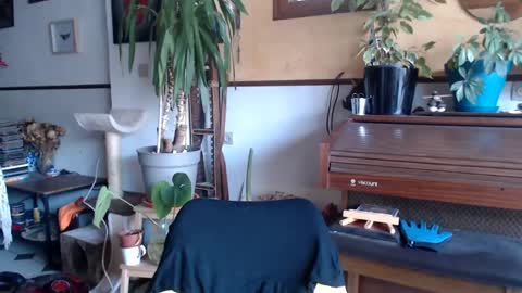 Snapshot of billy_fingercut chatting on 03.04.25 Billy FingerCut online show from 03.04.25