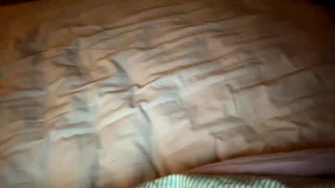 bipatron12 online show from 02.11.25