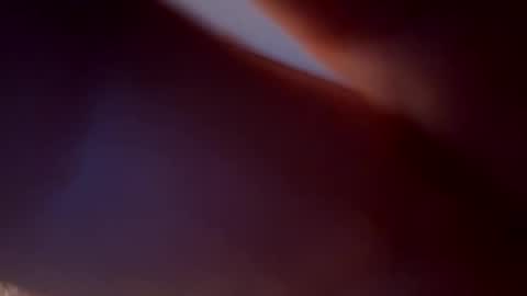 Snapshot of bird70 chatting on 11.16.25 spunday online show from 11.16.25