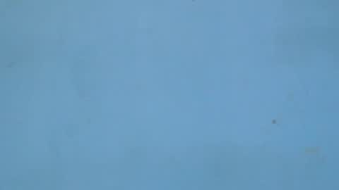 birdiexxslut online show from 11.18.25