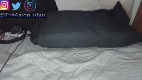 bizarre99 online show from 01.13.25