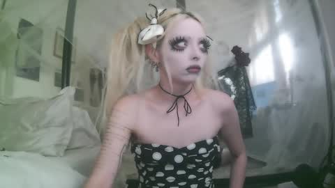 vampire fang  online show from 12.19.25