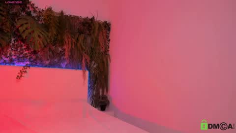 Jenny online show from 12.12.24