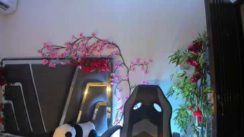 B L A C K  R O S E  online show from 11.09.25