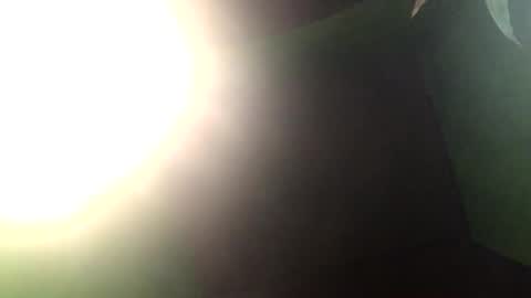 Snapshot of blackasiancockts chatting on 12.27.24 Crystal online show from 12.27.24