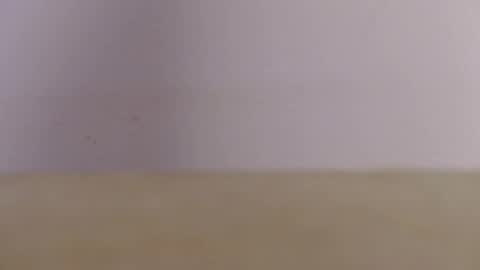 BlacqHarley online show from 11.11.25