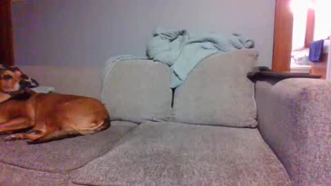 Snapshot of blaw_1321 chatting on 03.05.25 blaw_1321 online show from 03.05.25