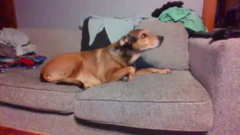 Snapshot of blaw_1321 chatting on 03.08.25 blaw_1321 online show from 03.08.25