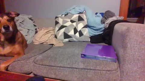 Snapshot of blaw_1321 chatting on 09.19.25 blaw_1321 online show from 09.19.25