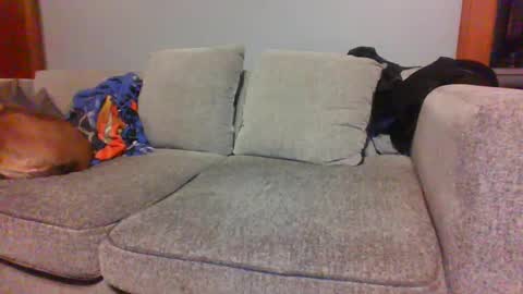 Snapshot of blaw_1321 chatting on 10.04.25 blaw_1321 online show from 10.04.25