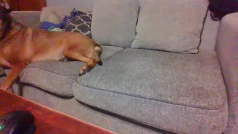 Snapshot of blaw_1321 chatting on 11.23.25 blaw_1321 online show from 11.23.25