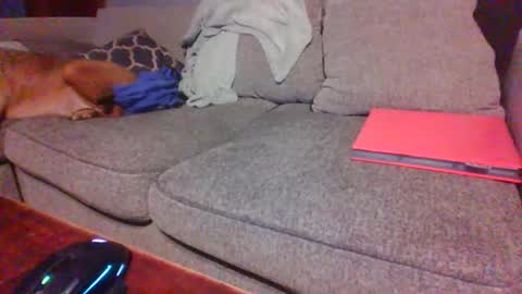 Snapshot of blaw_1321 chatting on 12.01.25 blaw_1321 online show from 12.01.25