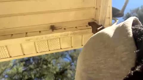 Snapshot of blaxkasta chatting on 01.04.25 Black Clover online show from 01.04.25