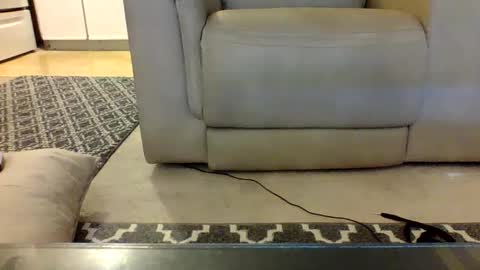 Snapshot of blayne711 chatting on 01.30.25 blayne711 online show from 01.30.25