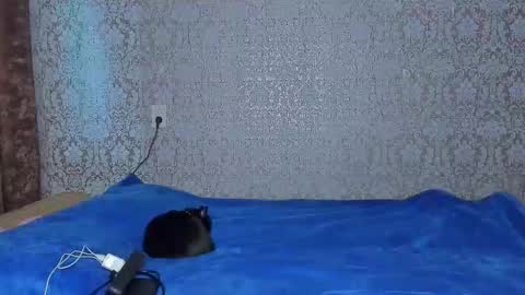 bloemetjes online show from 10.16.25