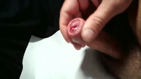 blomman72 online show from 04.19.26