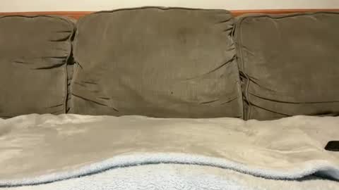 Snapshot of blondiedicks1 chatting on 09.16.25 blondiedicks1 online show from 09.16.25