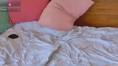 Sasha online show from 10.15.25