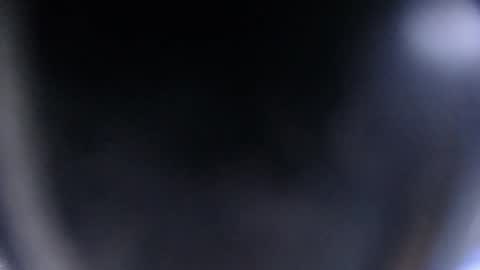 bunbury online show from 10.12.25