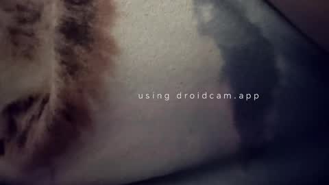 bluealpakka online show from 03.15.26