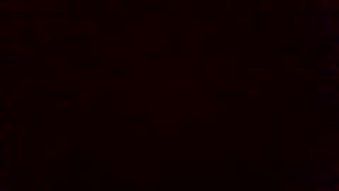 bluegum00 online show from 11.04.25