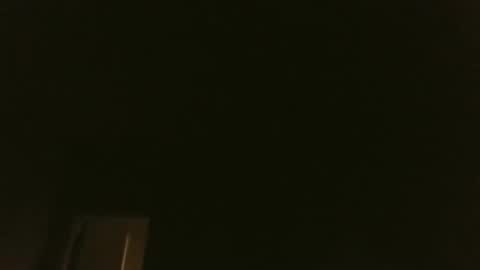 bluemoose70 online show from 01.04.25