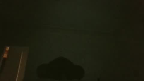 bluemoose70 online show from 04.19.26