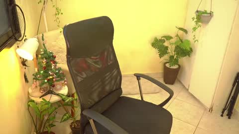 FLORAA online show from 12.27.24