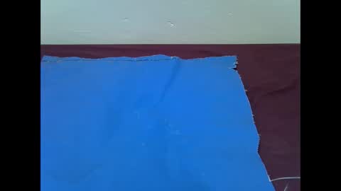 Snapshot of blushing_bunny chatting on 11.11.25 Bunny online show from 11.11.25