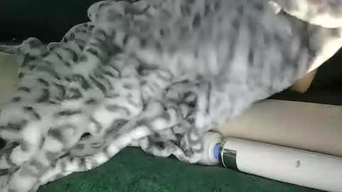 lyss online show from 10.28.25