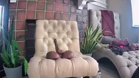 bms777 online show from 03.09.25