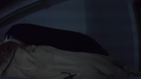 bo22222222 online show from 03.10.26