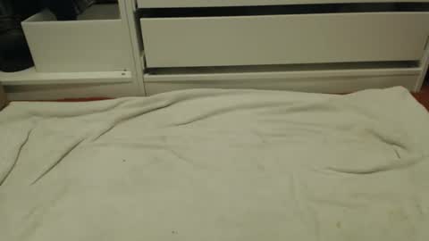 bobbuild online show from 01.31.26