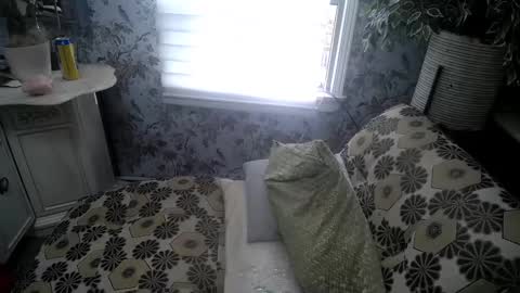 Snapshot of bobbyandsadie chatting on 11.22.25 Bobby and Sadie online show from 11.22.25