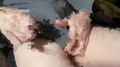 Snapshot of bobbyboobycummy chatting on 03.03.25 Heath online show from 03.03.25