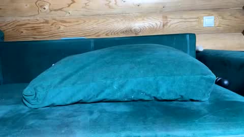 Snapshot of bohemianrhapsody1 chatting on 10.21.25 Nail and Olivia online show from 10.21.25