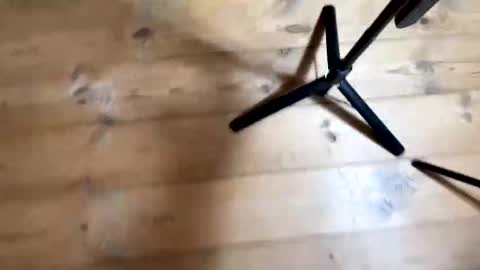 Snapshot of bohemianrhapsody1 chatting on 12.04.25 Nail and Olivia online show from 12.04.25