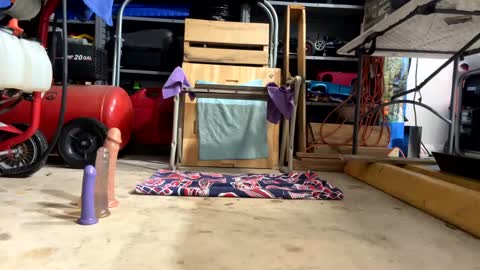 FRECKLES online show from 02.18.25