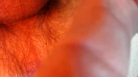 Snapshot of bonnie312 chatting on 09.18.25 bonnie312 online show from 09.18.25