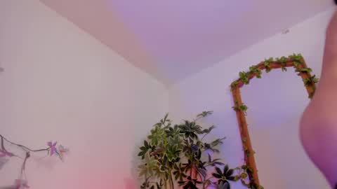   online show from 02.03.26