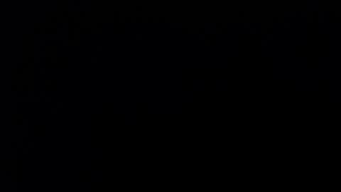 Soffy Brooks Independent model online show from 12.12.24